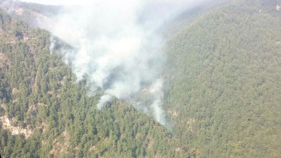 Teröristler kaçarken orman yangını çıkardı