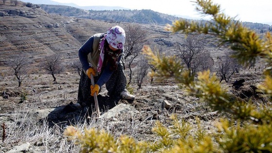 Teröristlerin tahrip ettiği yerleri kadınlar yeşertecek