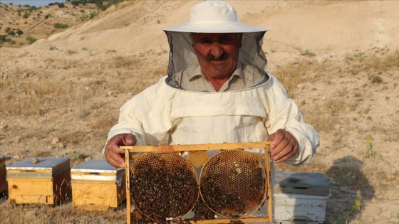 Tescilli Pervari balı üreticisinin yüzünü güldürecek