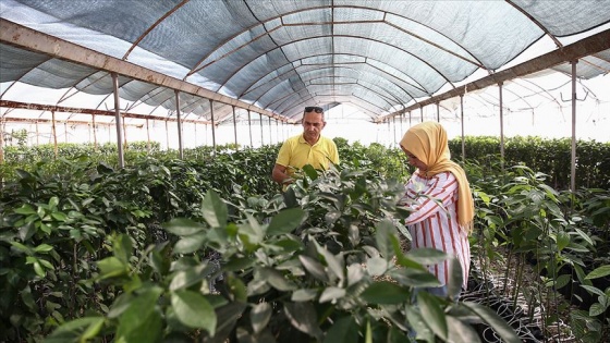 TİGEM'den çiftçiye 'yerli ve milli sebze tohumu' katkısı