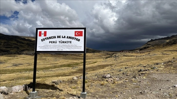 TİKA'nın desteğiyle Peru’da 'alpaka çiftliği' kuruldu