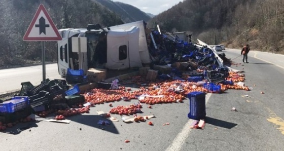 Tır devrildi, tonlarca sebze yola döküldü