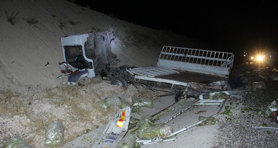 Tır yol kenarında arıza yapan kamyonete çarptı: 2 kişi hayatını kaybetti