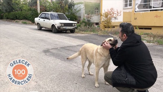 Tiyatro oyuncusu gösterilerinin gelirini sokak hayvanları için bağışlıyor