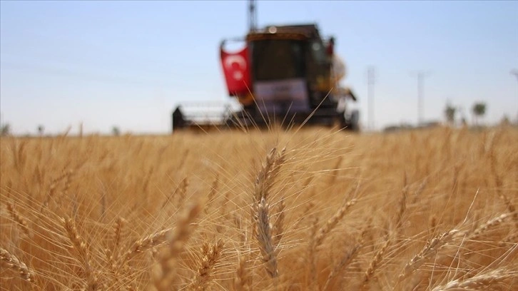 TMO’nun yüksek alım fiyatları tarımsal üretimin artmasına destek olacak