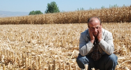 Tokat’ta pes dedirten hırsızlık!