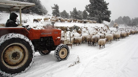 Toroslar'da mahsur kalan Yörükler kurtarıldı