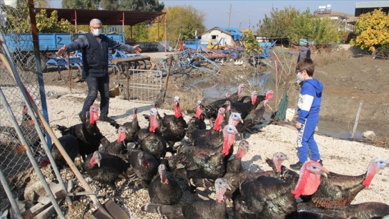 Torunun hindi sevgisi dedeyi üretici yaptı