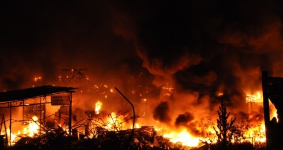Tosya Ekincik köyü ormanlık alanda yangın