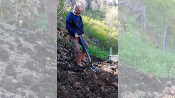 Trabzon'da din görevlileri de yaşlıların tarla işlerine yardım ediyor