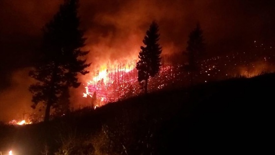 Trabzon'da orman yangını