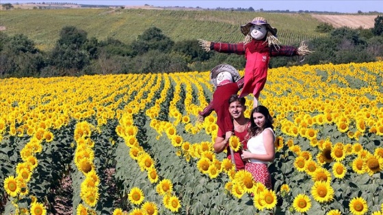 Trakya&#039;da &#039;agro turizmi&#039; atağı