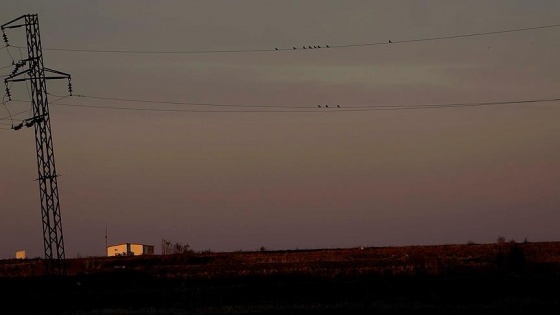 Trakya'da kuşları elektrik çarpmayacak