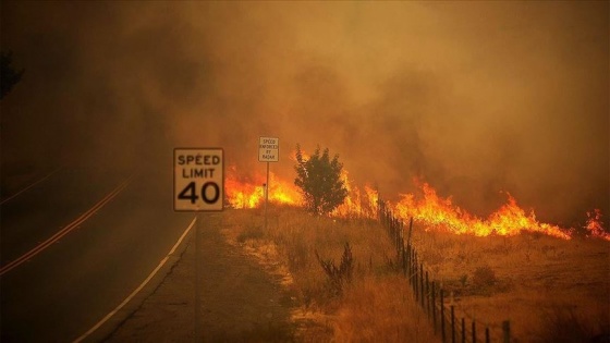 Trump California'daki yangınları 'büyük afet' ilan etti