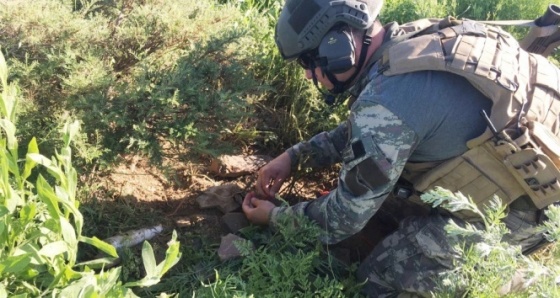 Tunceli’de ele geçirildi: Tam 100 kilo!