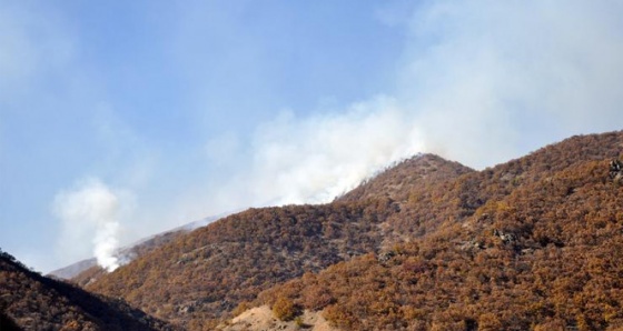 Tunceli’de PKK’ya büyük darbe