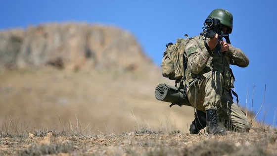 Tunceli'de terör örgütü PKK'ya ağır darbe