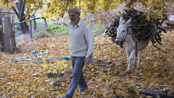 Tunceli'nin dağ köylerinde zorlu kış hazırlığı