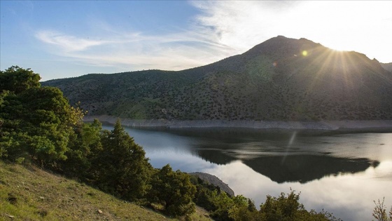 Tunceli'nin saklı cenneti 'Gemici Vadisi'nde ilkbahar güzelliği yaşanıyor