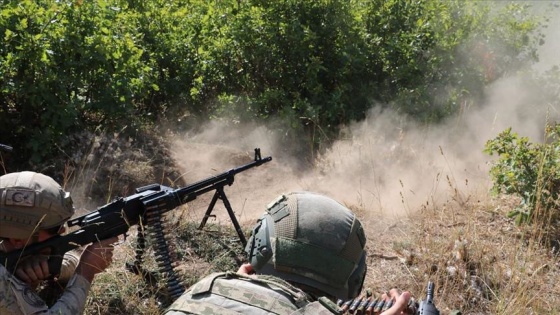 Tunceli Ovacık kırsalında 2 terörist etkisiz hale getirildi