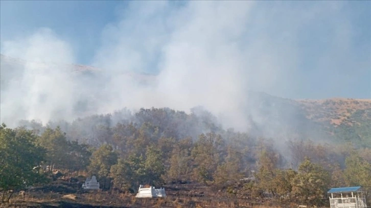 Tunceli'de ormanlık alanda çıkan yangın söndürüldü