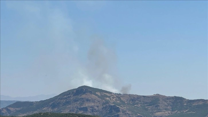 Tunceli'de ormanlık alanda çıkan yangına müdahale ediliyor