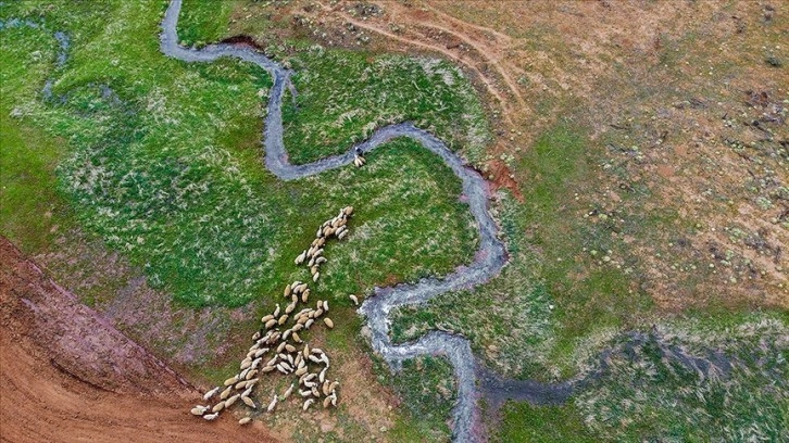 Tunceli'nin Gözeler köyündeki mendereslerde ilkbahar güzelliği