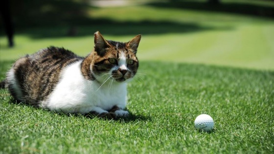 Turizm bölgesi Belek, golf tutkunlarını bekliyor