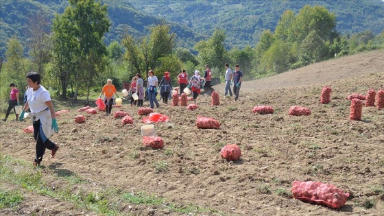 Türk Kızılaydan Srebrenitsa'da aile ekonomisine katkı