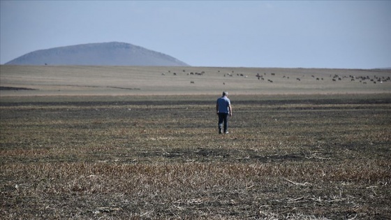 Türkiye'nin 13. Ramsar Alanı Kuyucuk Gölü tekrar kurudu