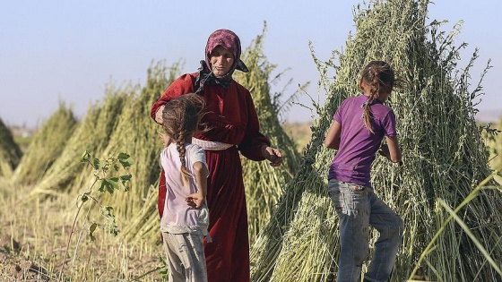 'Türkiye'nin geleceğini duyunca sabaha kadar uyuyamadık'