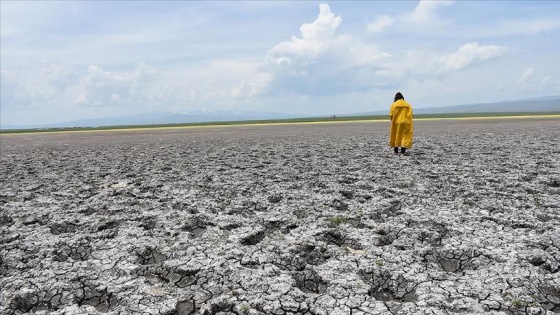 Türkiye'nin Ramsar alanı Kuyucak Gölü kuruyor