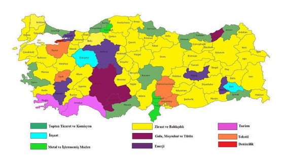 Türkiye'nin sektörel kredi haritası