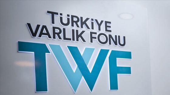 Türkiye Varlık Fonu'ndan enerji sektörüne yatırım planı