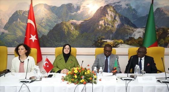 Türkiye-Zambiya Karma Ekonomik Komisyonu'nun ilk toplantısı yapıldı