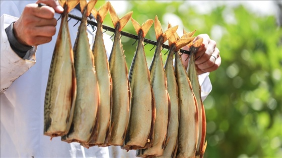 Tütsülenmiş Ringa balığı Gazze&#039;de bayram sofralarını süslemeye hazırlanıyor