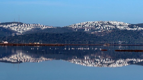 Tuzla Sulak Alanı göçmen kuşları ağırlıyor