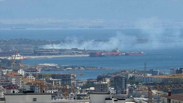 Tuzla'da ağaçlık alanda yangın çıktı