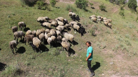 Üç dil bilen işletmeci yurt dışındaki kariyerini bırakıp köyüne döndü