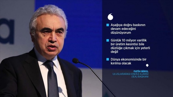 Uluslararası Enerji Ajansı Başkanı Birol G20'yi 'petroldeki çöküşü' önlemeye çağırdı