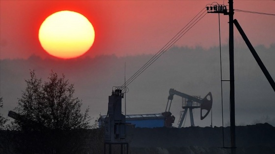 Uluslararası Enerji Ajansı'nın 'fosil yakıt yatırımlarını durdurma' çağrısına Rusya'dan eleştiri
