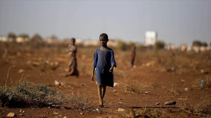 Uluslararası Göç Örgütü: Somali kuraklığa bağlı kıtlık riskiyle karşı karşıya