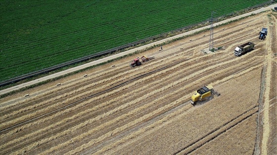 Üreticilere yaklaşık 158 milyon liralık destek ödemeleri başladı