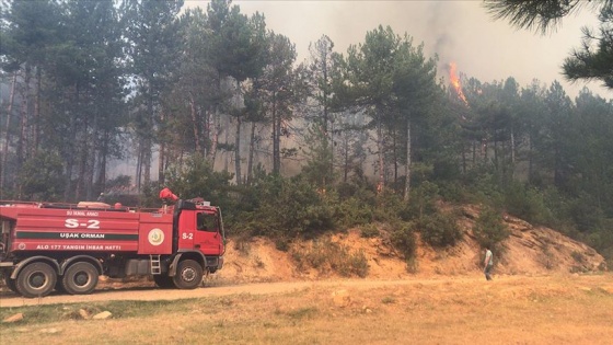 Uşak'ta orman yangını