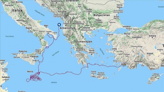 Uydudan izlenen 'Caretta Tuba' bir yılda 5 bin 500 kilometre yol aldı