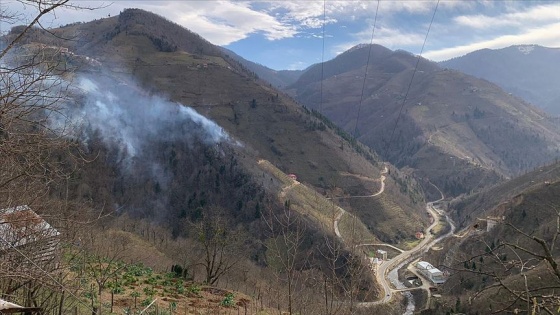 Valilikten Giresun'daki örtü yangınlarıyla ilgili açıklama