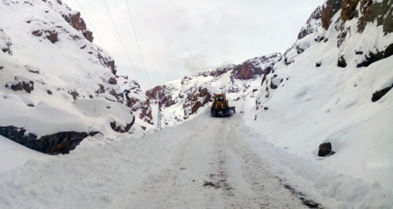 Van’da 32 yerleşim yeri ulaşıma kapandı