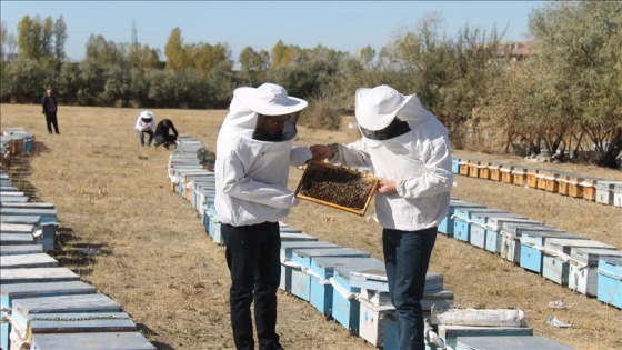 Van'da bal üretiminde 400 ton artış