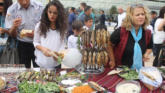 Van'da balık festivali düzenlendi