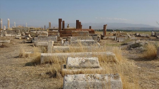 Van'da tarihi Selçuklu-Karakoyunlu Mezarlığı restore edilecek